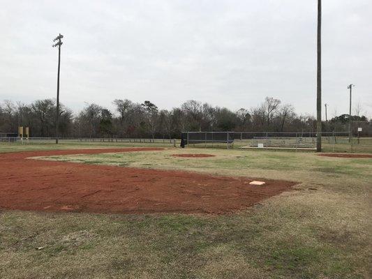 Gold Rose Landscaping