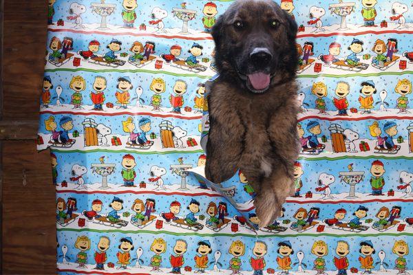 Cams photography SoCo