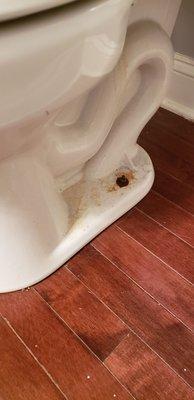 A Step Above house cleaning