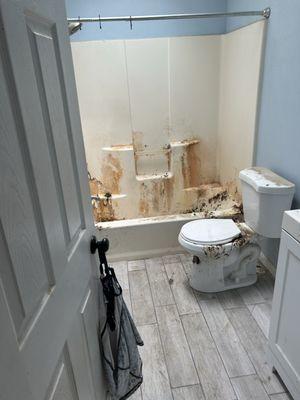 Grays Cleaning And Junk Removal