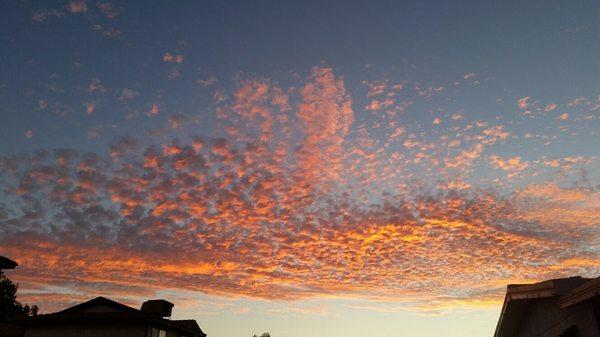 Beautiful Central Valley sky (taken from within the park)