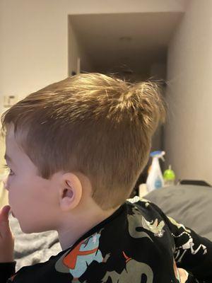 Sharkey's Cuts for Kids