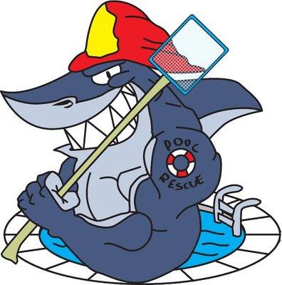 Pool Rescue