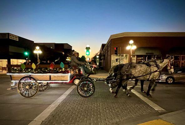 Carriage rides through Old Town at the Thankful & Grateful Festival 11/20/2024!!