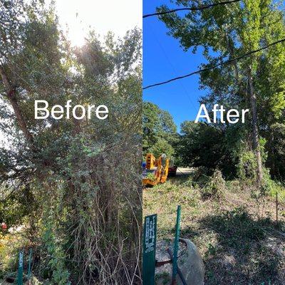 Alpha Omega Brothers