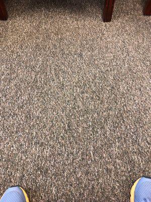 Neurology Associates of Western Mass