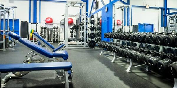 Wildcat Fitness