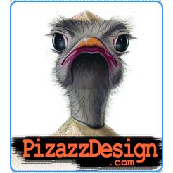 Pizazz Design