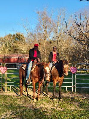 Horse Rides of Pensacola LLC
