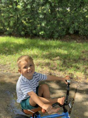 Greenhouse Environmental