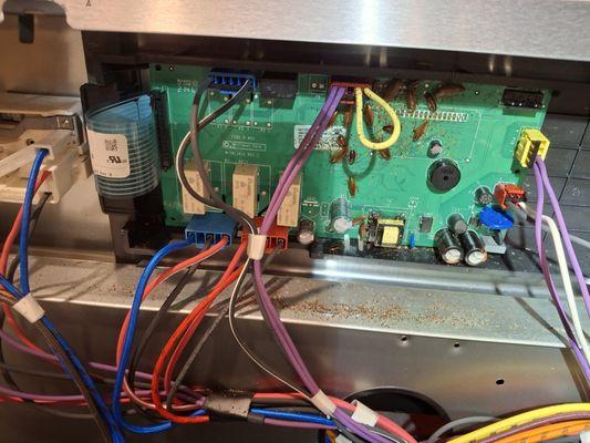 Lords Appliance Repair