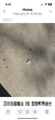 More chips on driveway by Top Armor throwing old roof tiles