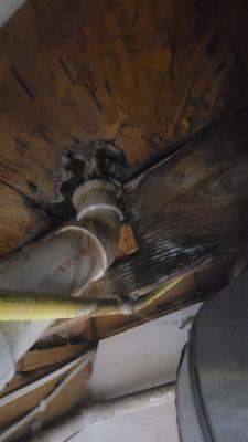 M and S Inspection Services