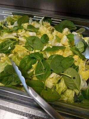 Salad Bar