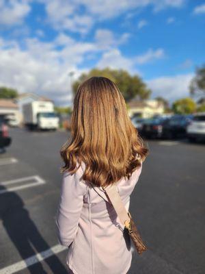 The Blonde Code by Ashley Gray