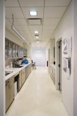 Anthony Pavone, DDS MD