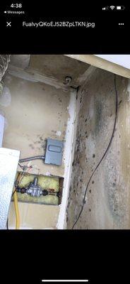 Mesa Falls Apartments