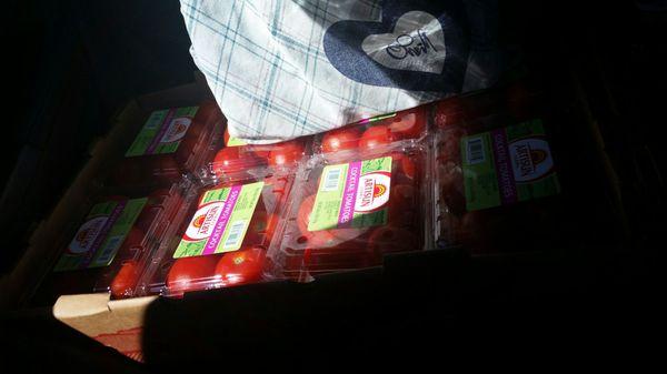 Mayer Area Meals on Wheels