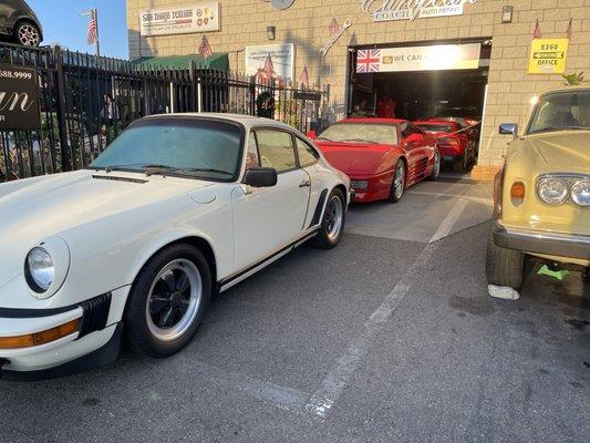 The Italian Car Specialist