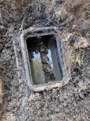 Dreamscapes landscaping and irrigation