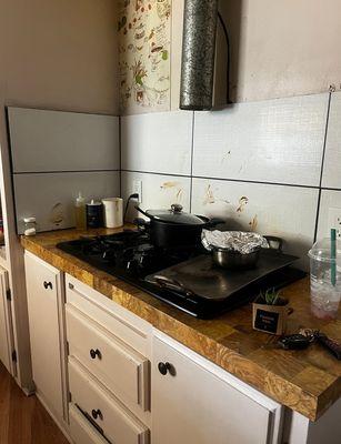 Sanchez All in One services