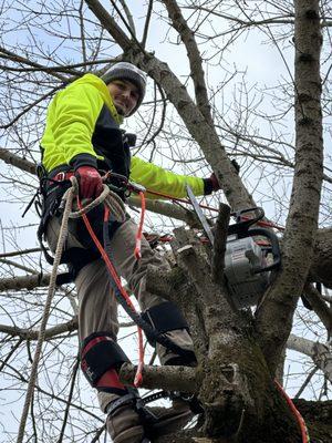 Ascend Tree Service