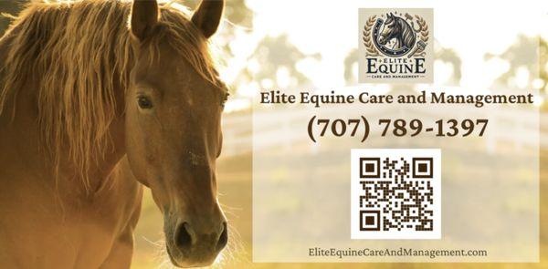 Elite Equine Care and Management