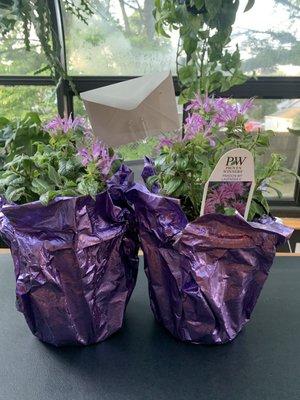 Happy Birthday HANNAH!