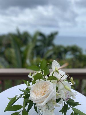 Na Aina Kai Botanical Gardens