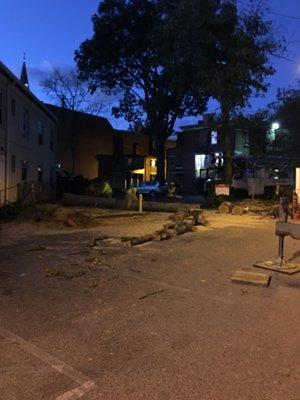 A-Fordable Tree Service