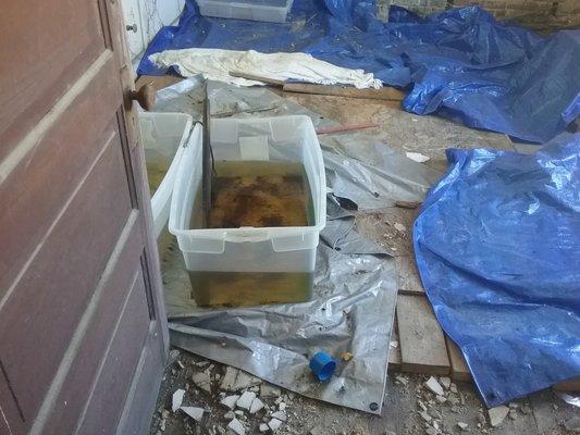 Patrick Erb Home Inspection