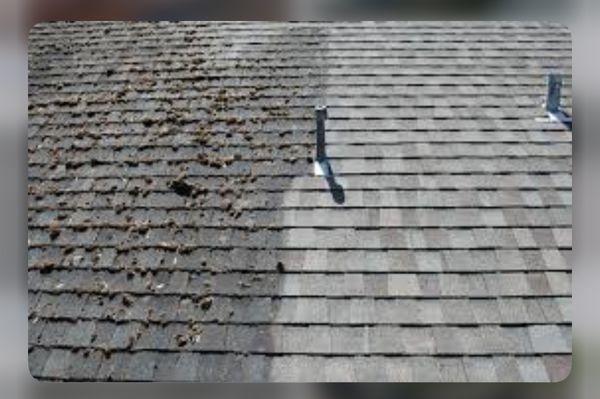 Jordan’s Pressure Washing Service / Landscape