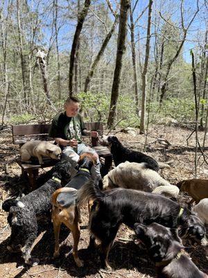 Sit Stay Train & Play