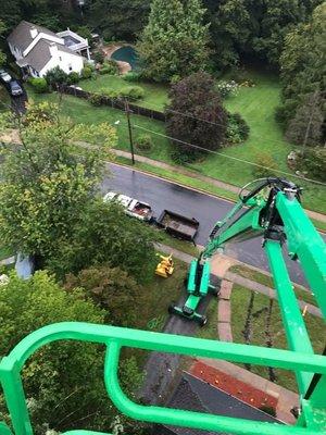 Grasshopper Lawn and Landscape