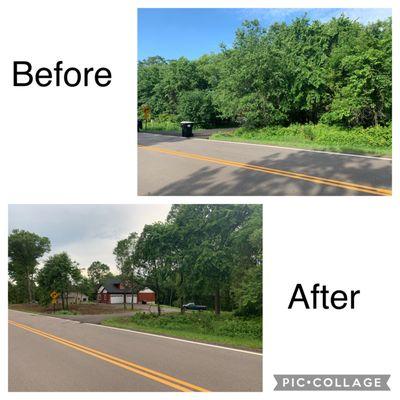 Large clearing project for new construction before and after pictures