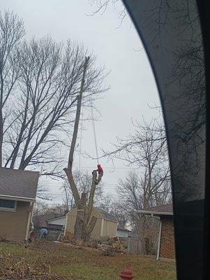 T And S Tree Service