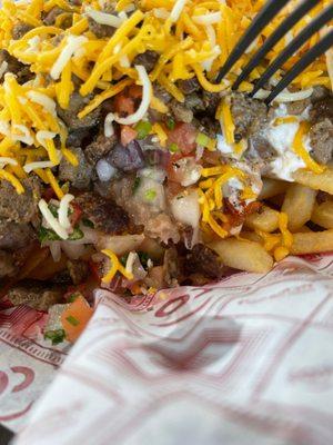 Carne Asada Fries