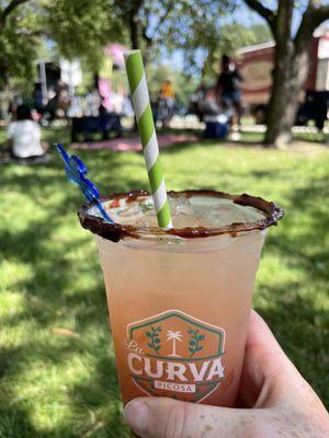 Chicago Vegan Drink and Food Festival