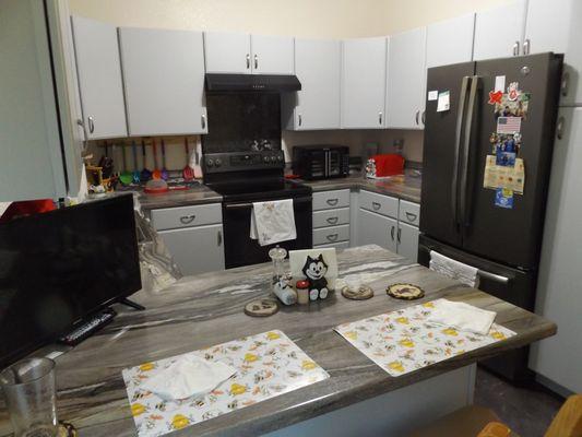 Resurrected Cabinet Coatings