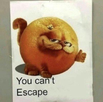 Lakeside Plaza Condominium