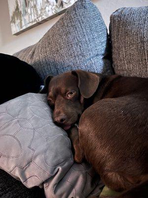 1 Stop Motor Vehicle Services