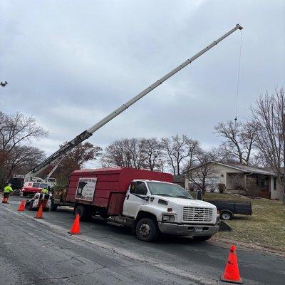 Central MN Tree Service