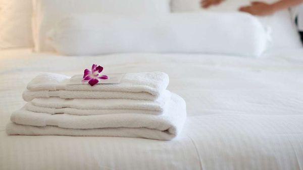 Mstar HotelMansfield Mansfield OH Guestroom TwoDouble