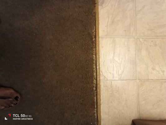 6 YEARS AND NOT ONE CARPET CLEANING.CARPET HAS BEEN SEPARATING A COUPLE YEARS AND THEY KNOW. 14 DYS DEAD WINTER NO HEAT&HOT WATER
