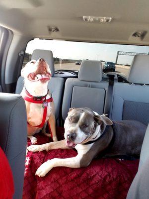 Trinity Veterinary Medical Center