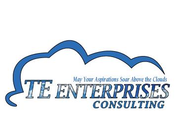 TE Enterprises Consulting