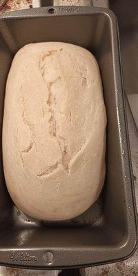 Becks Free Rayvyn Botique