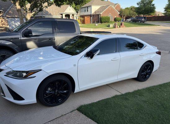 Mark Payne's Collision