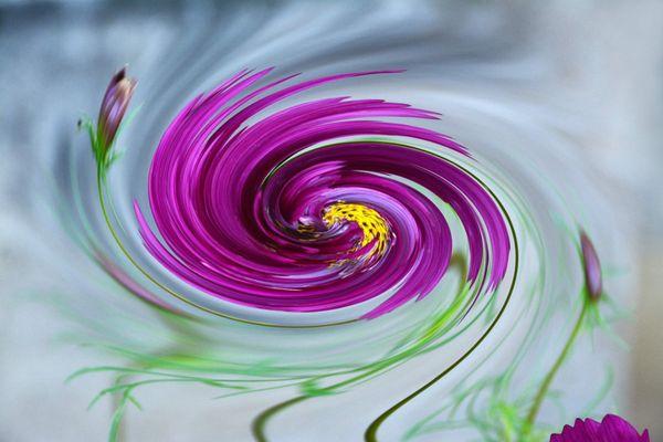 Samira Salon by Arati