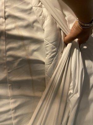 Chesterfield Hotel & Suites